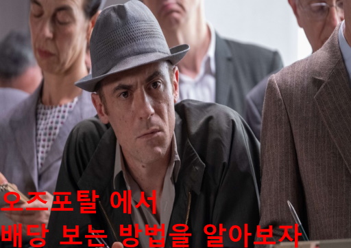 오즈포탈