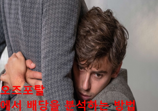 오즈포탈